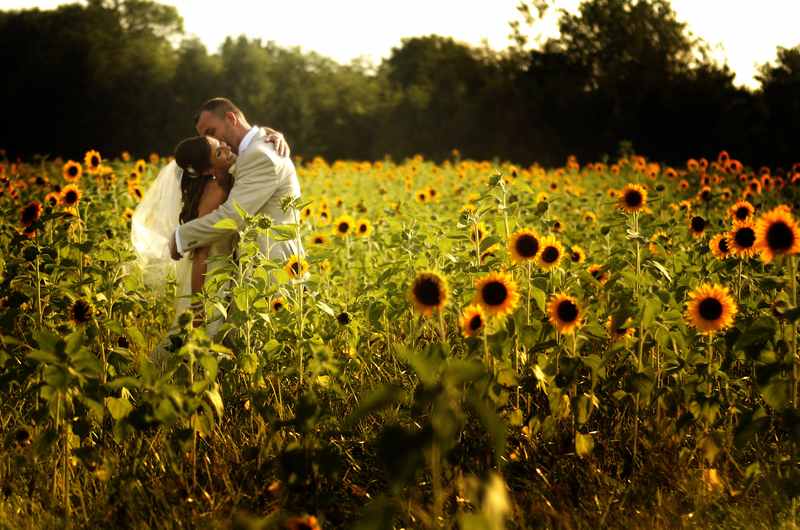 Martha Clara Vineyard Wedding