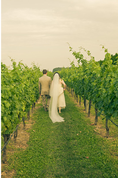 Martha Clara Vineyards Wedding