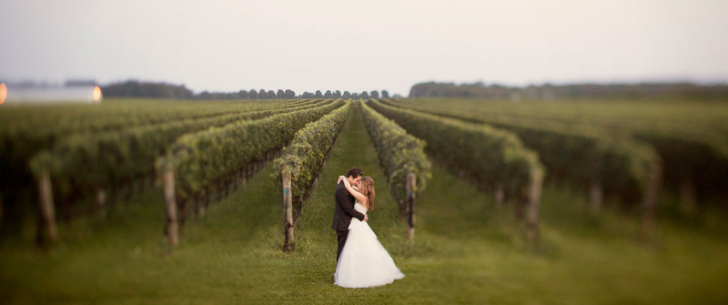 Martha Clara Vineyards Wedding