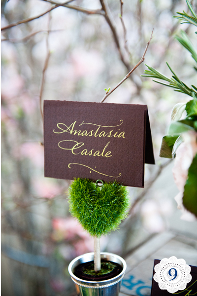 Martha Clara Vineyards Bridal Expo