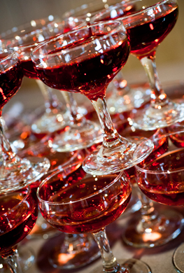 Martha Clara Vineyards Bridal Expo