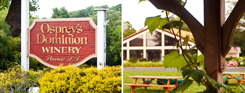 Osprey's Dominion Vineyard Engagement