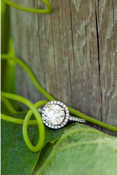 Osprey's Dominion Vineyard Engagement