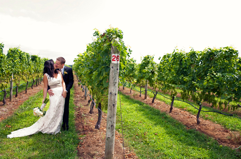 Raphael Vineyard Wedding