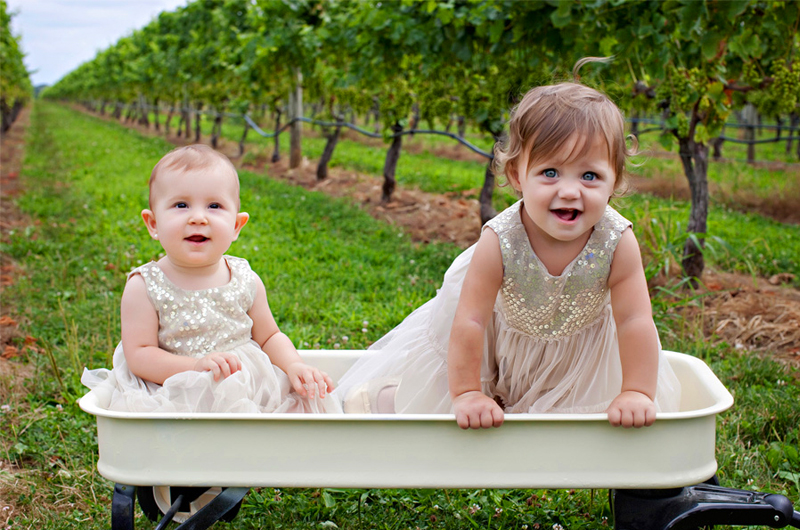 Raphael Vineyard Wedding