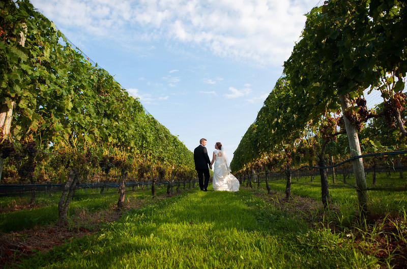 Raphael Vineyard Wedding