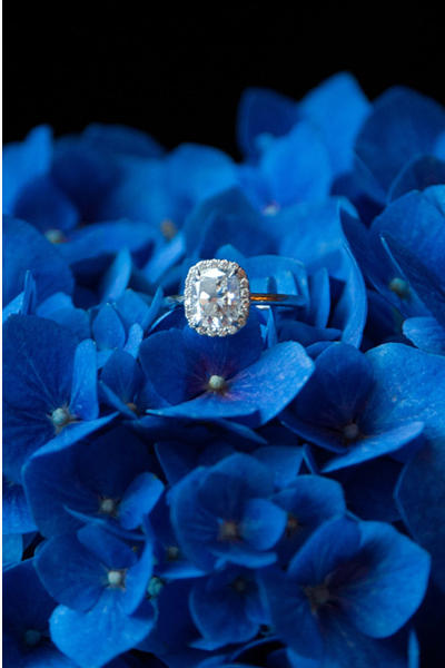 Salt Air Farm Wedding